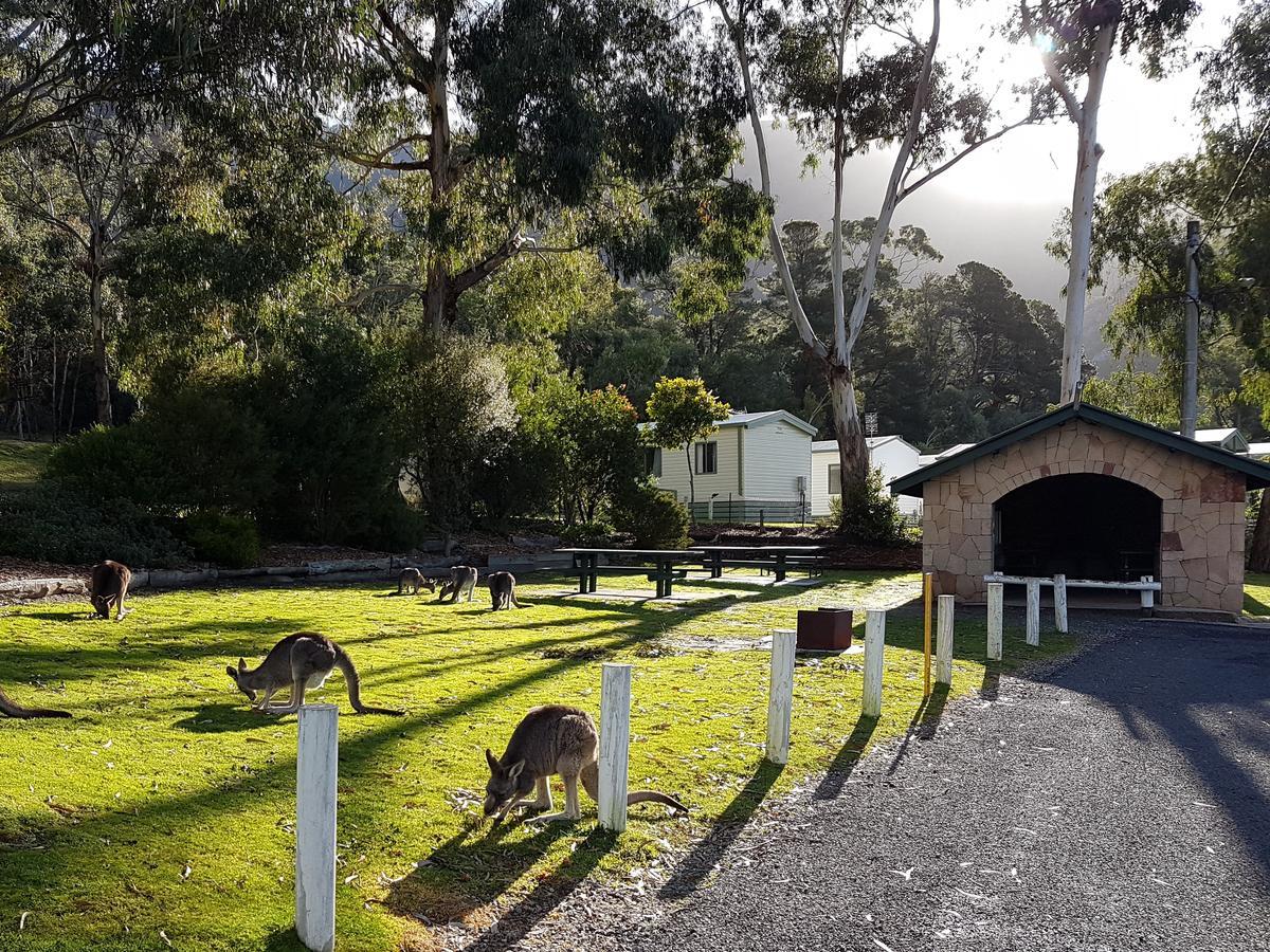 Breeze Holiday Parks - Halls Gap Exterior foto